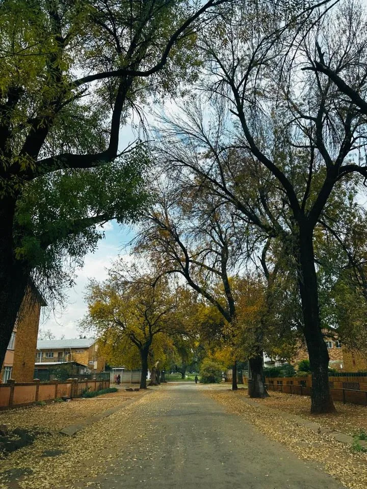 2 Bedroom Apartment / flat to rent in Vanderbijlpark CW 1