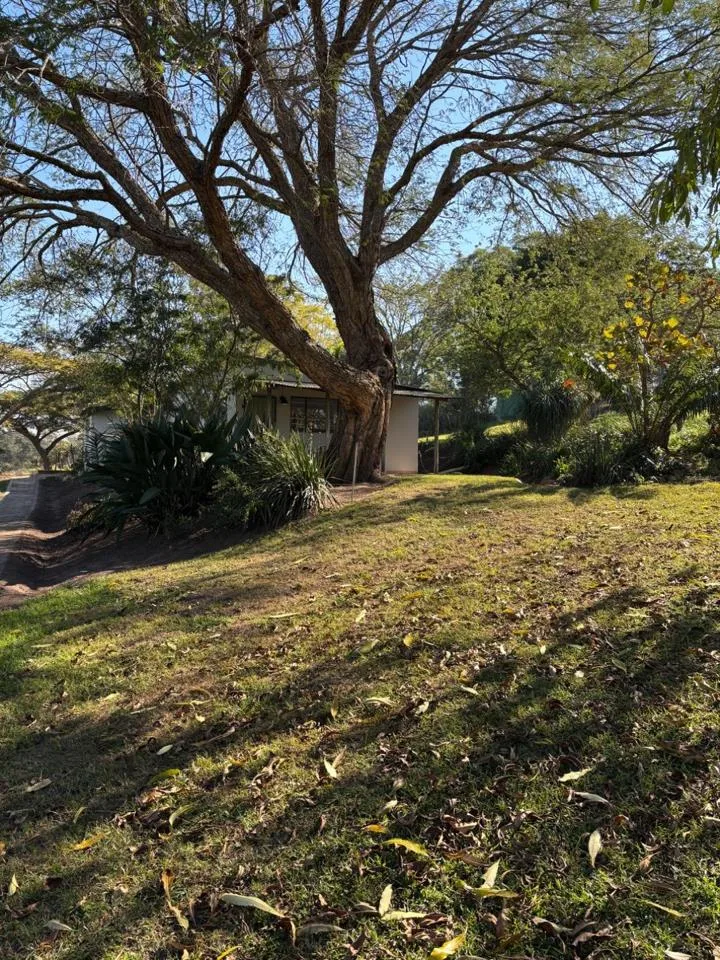 1 Bedroom Apartment / flat to rent in Drummond