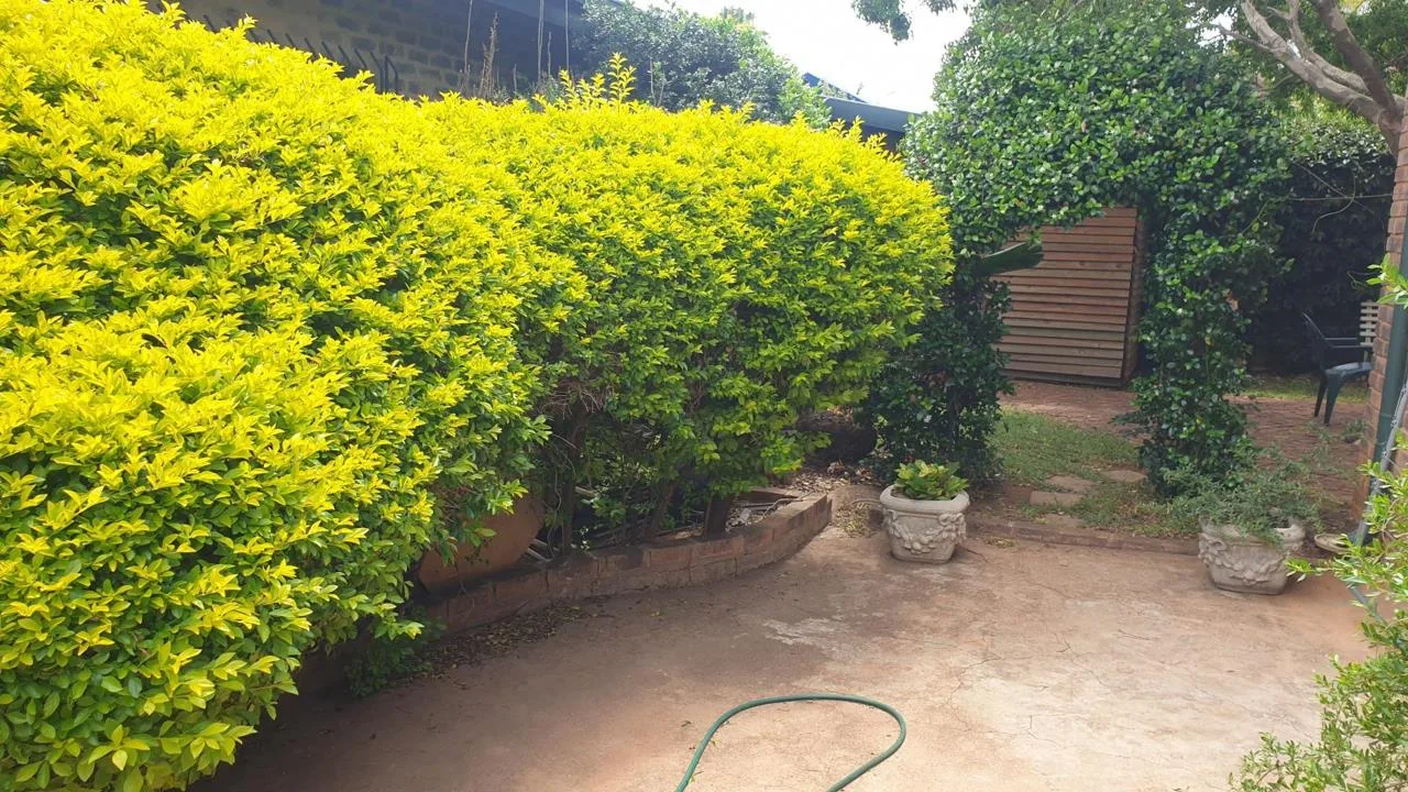 1 Bedroom House to rent in Garsfontein