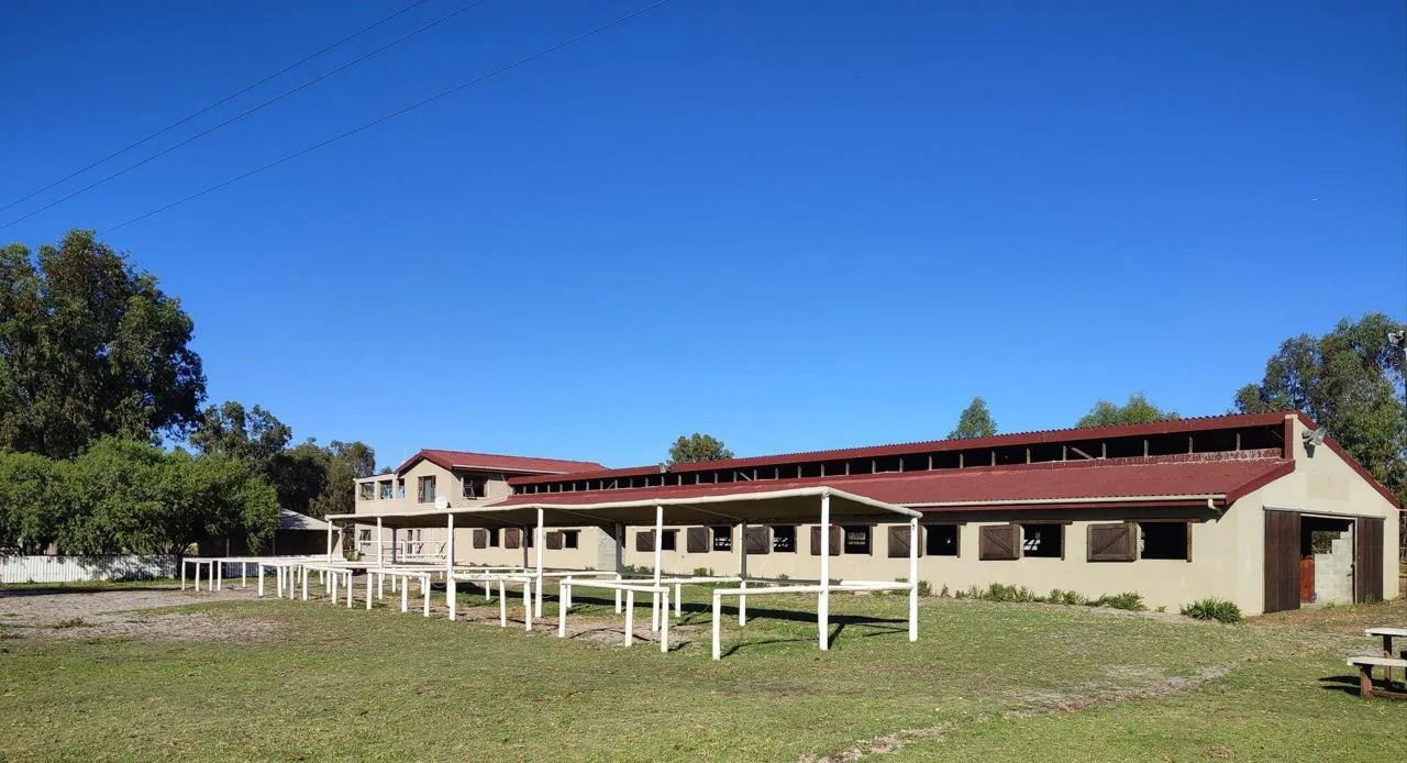 9 Bedroom House on auction in Cape Farms