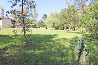 6 Bedroom House to rent in Bryanston