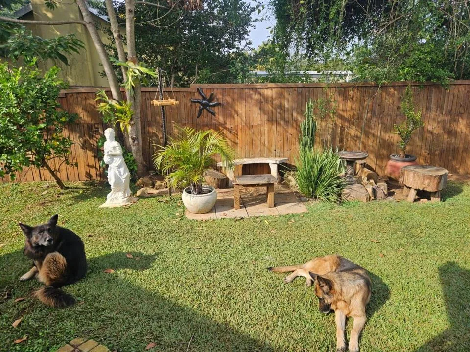 1 Bedroom Apartment / flat to rent in Gillitts