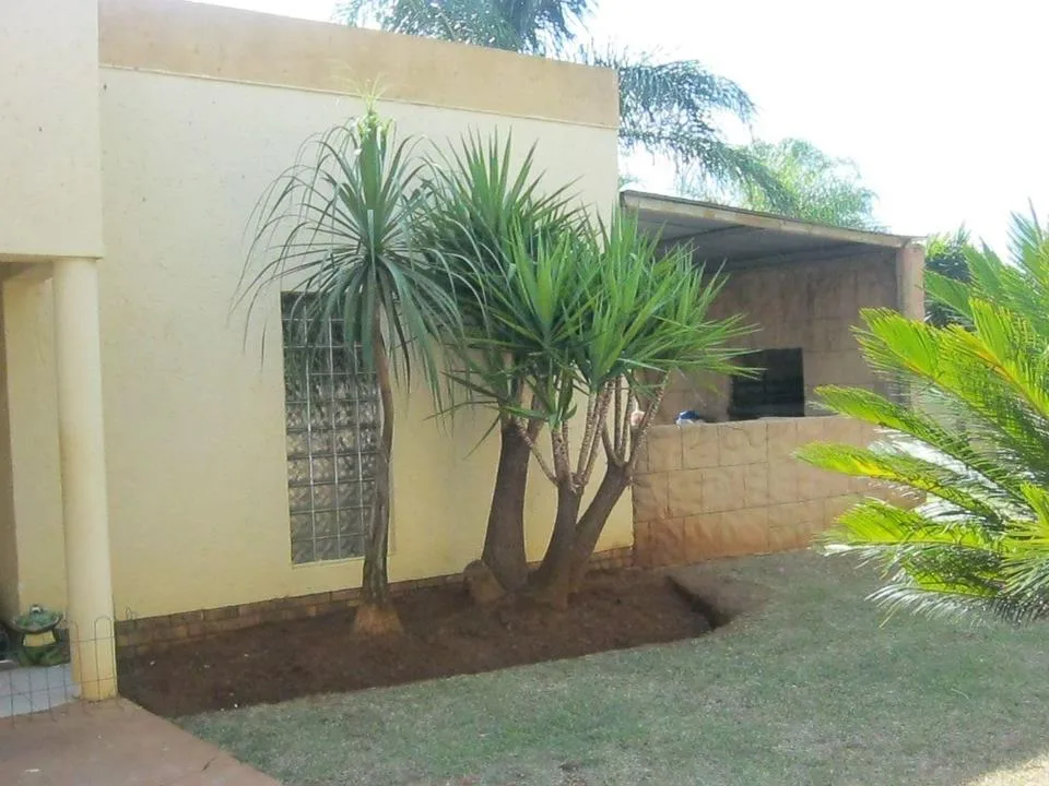 3 Bedroom House to rent in Doornpoort