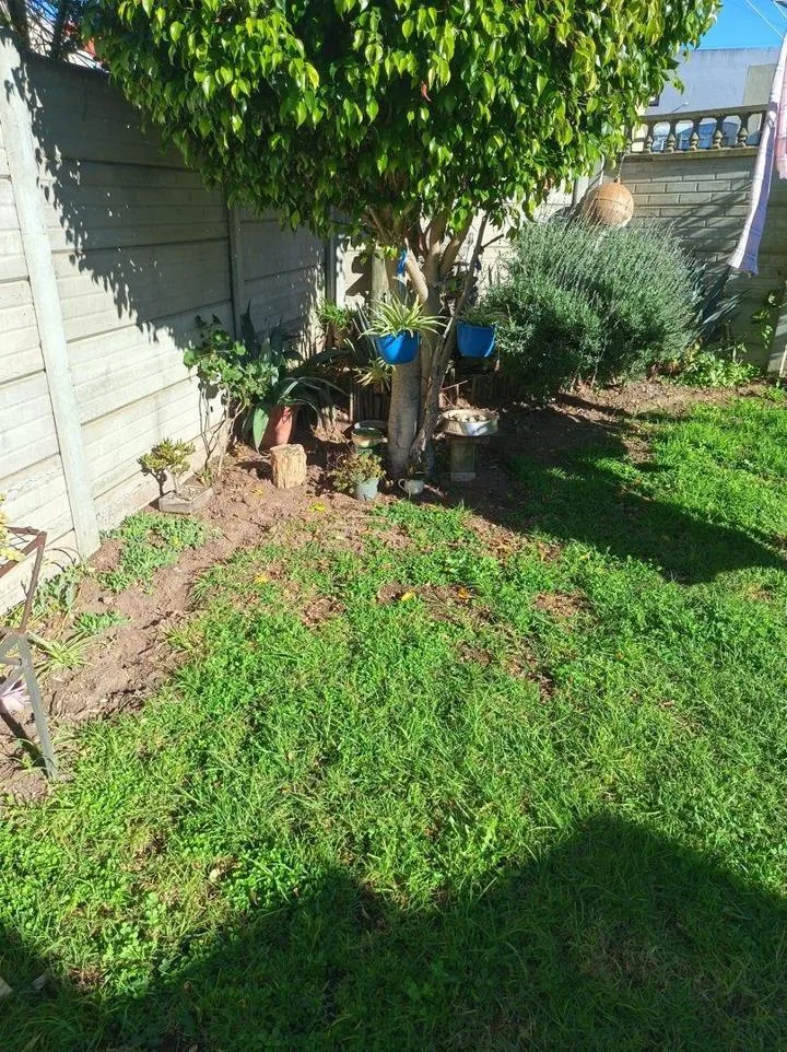 1 Bedroom Apartment / flat to rent in Bredasdorp