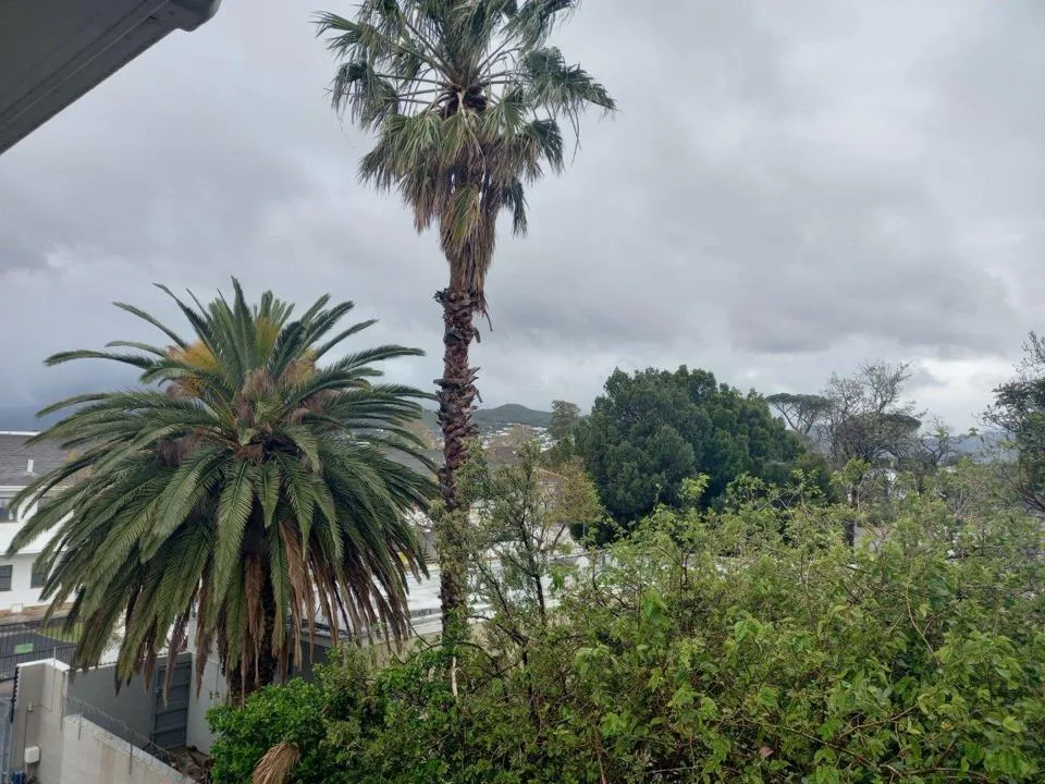 1 Bedroom Apartment / flat to rent in Somerset West Central