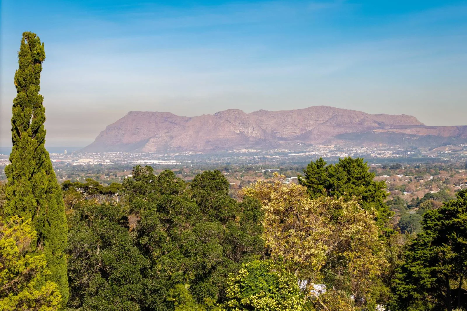 2 019 m² Land available in Bishopscourt