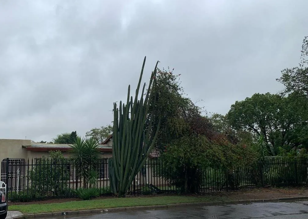 4 Bedroom House to rent in General Albertspark