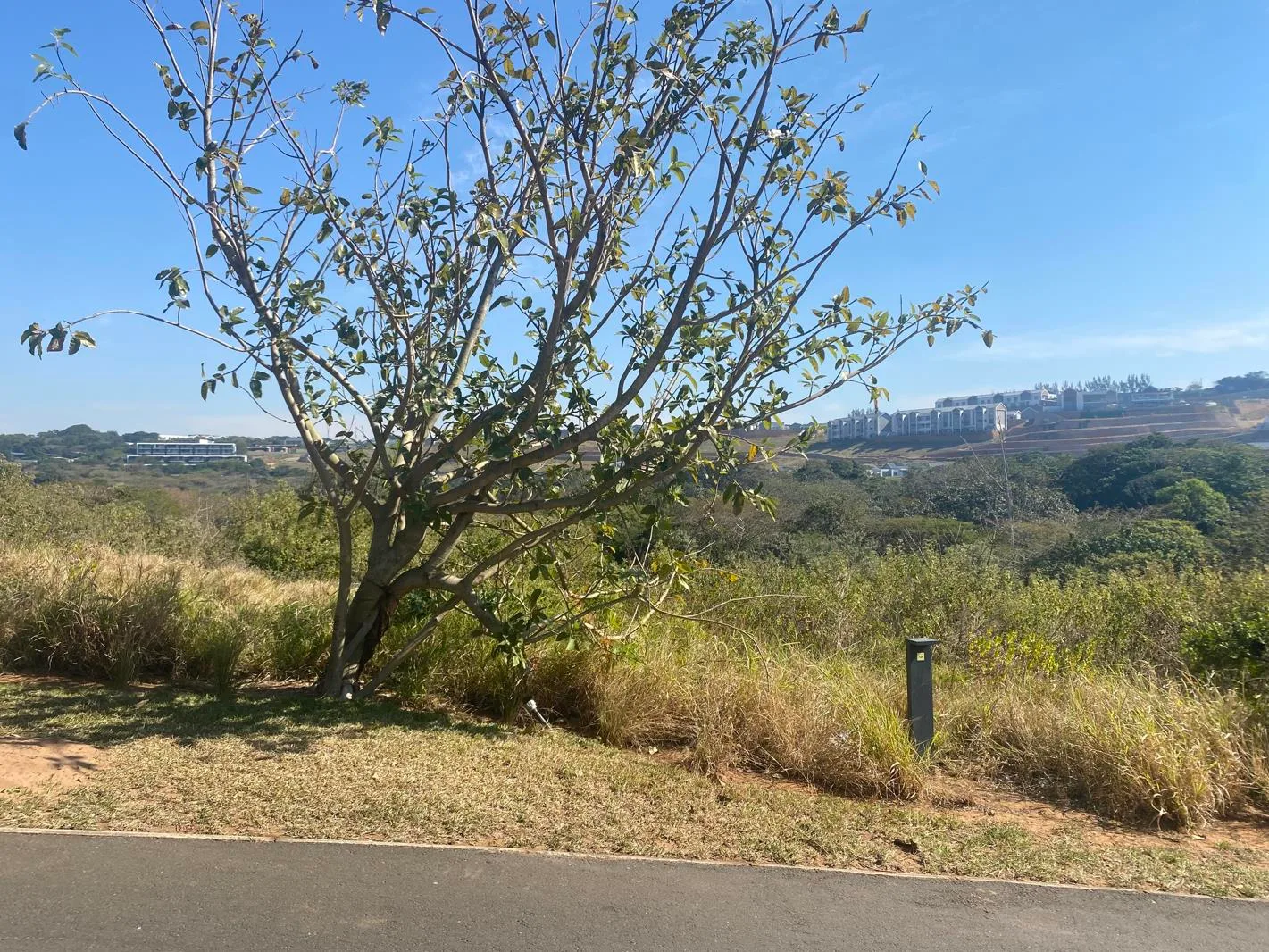 1 288 m² Land available in Zululami Luxury Coastal Estate