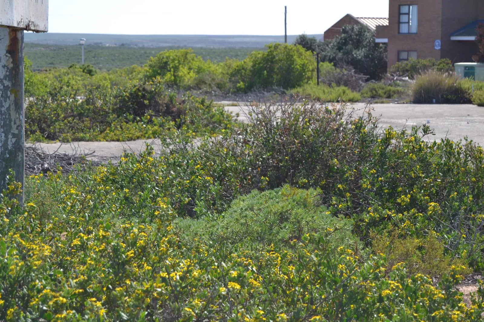 979 m² Land available in Lamberts Bay