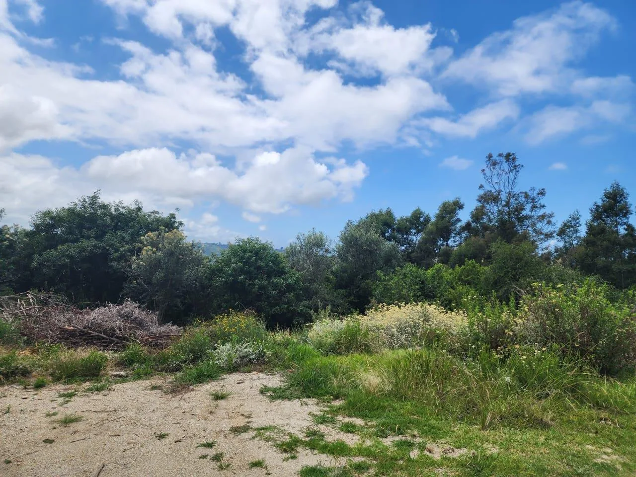 5.8 ha Land available in Hoekwil