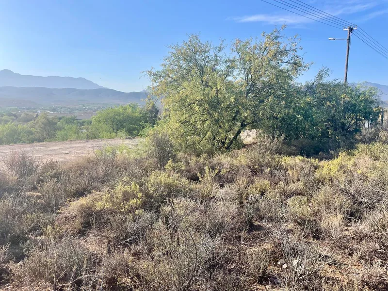 1 539 m² Land available in Calitzdorp