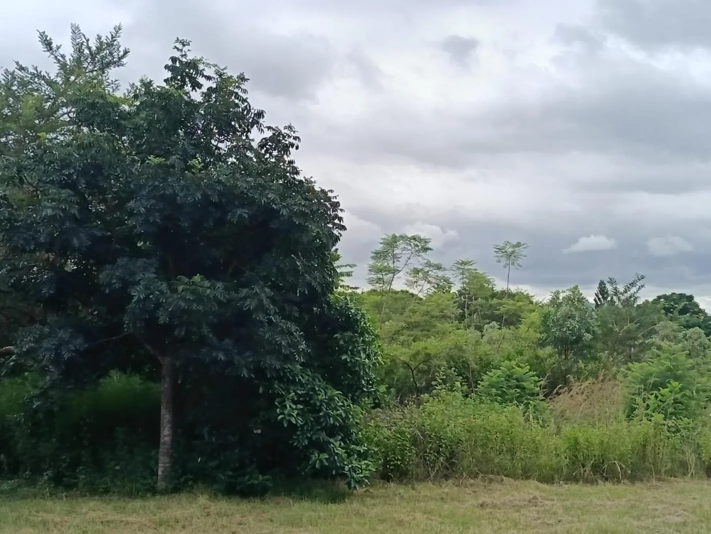 3 ha Land available in Alkmaar