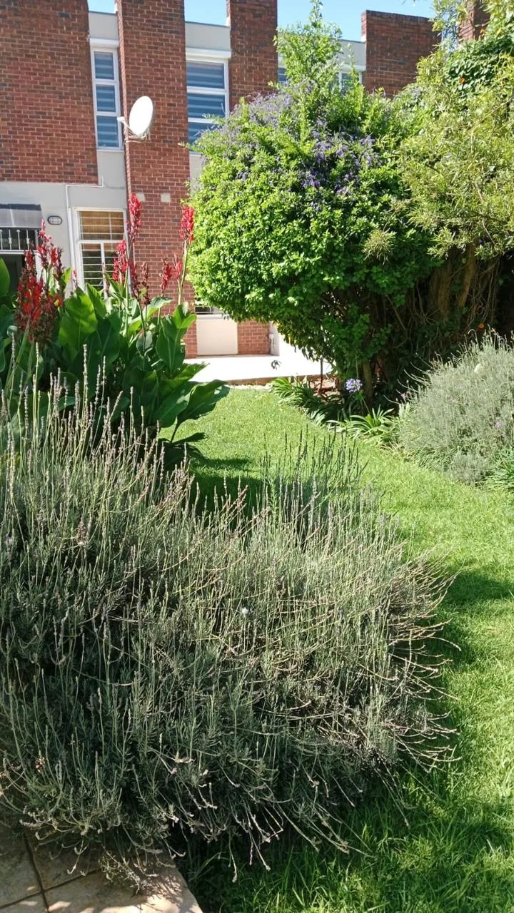 3 Bedroom Townhouse to rent in Bedfordview
