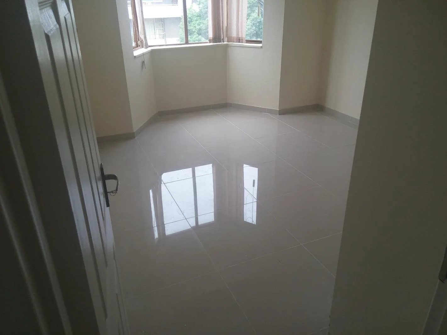 3 Bedroom Townhouse in Ferndale