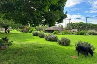 House to rent in Mooiplaats AH