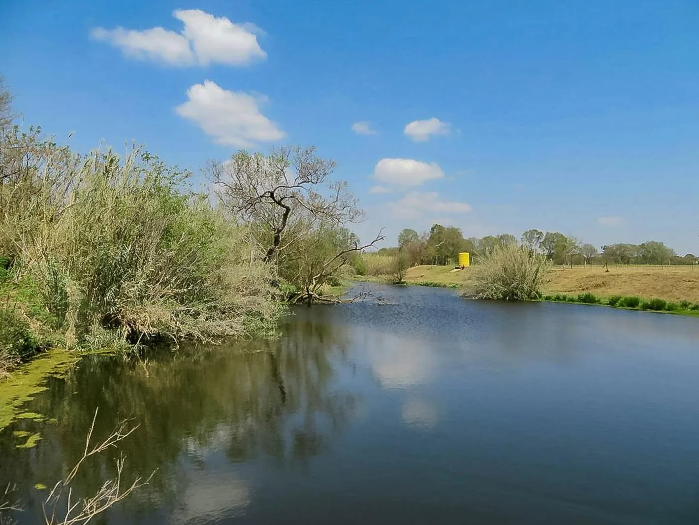31 ha Farm in Remhoogte AH