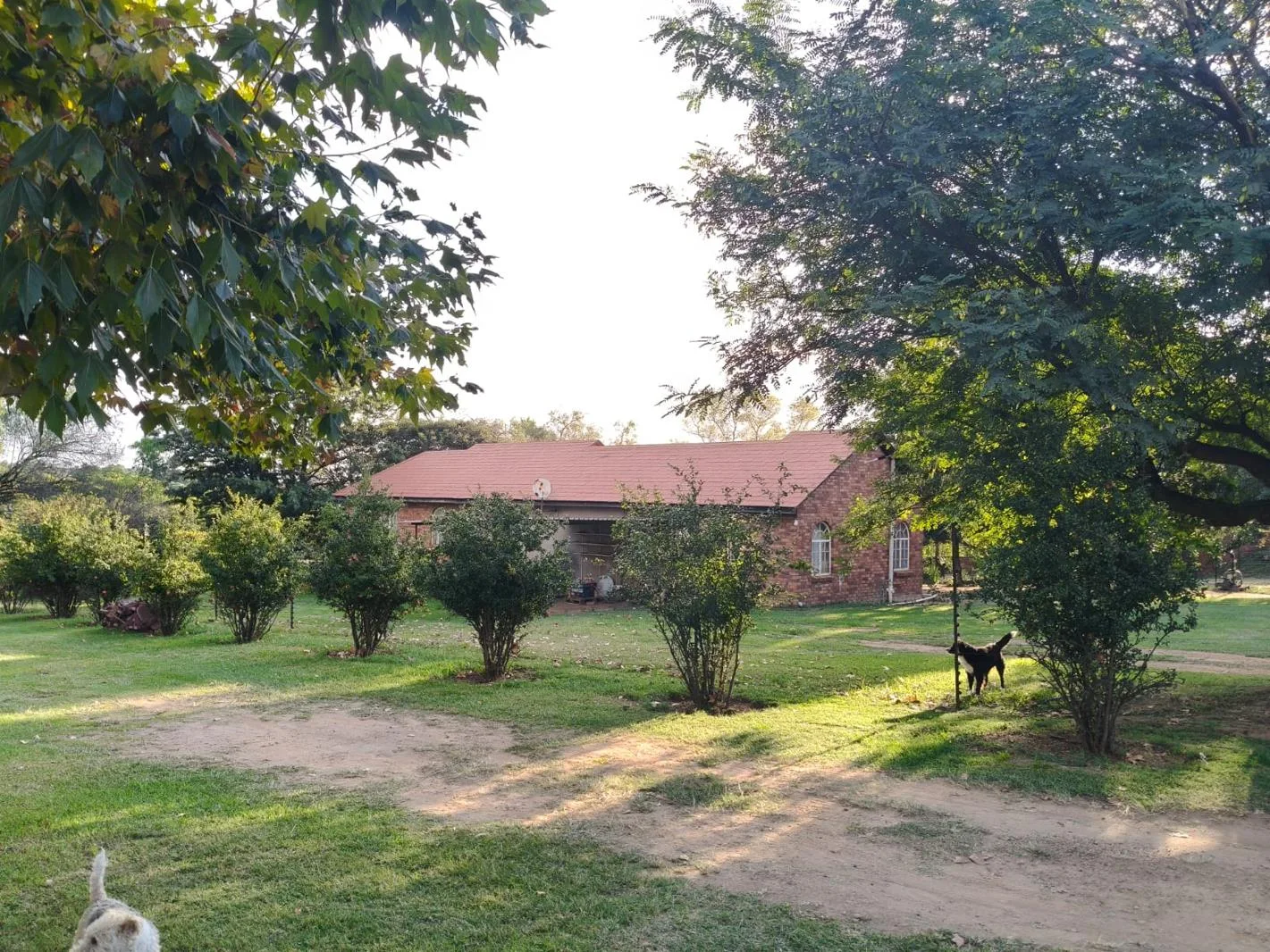 3 Bedroom House in Timsrand AH