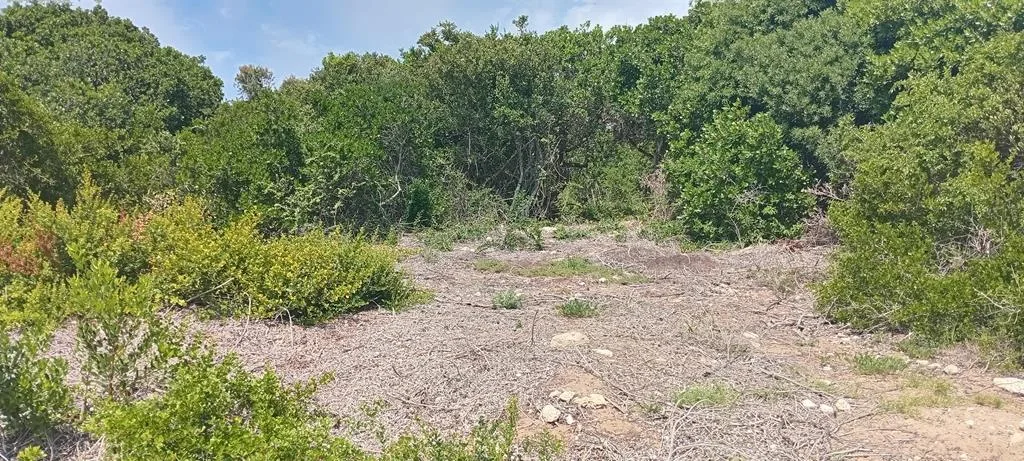 1 243 m² Land available in Groot Brakrivier