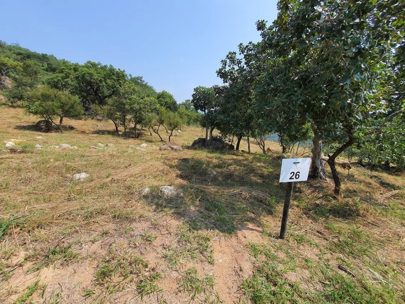 1 555 m² Land available in The Rest Nature Estate