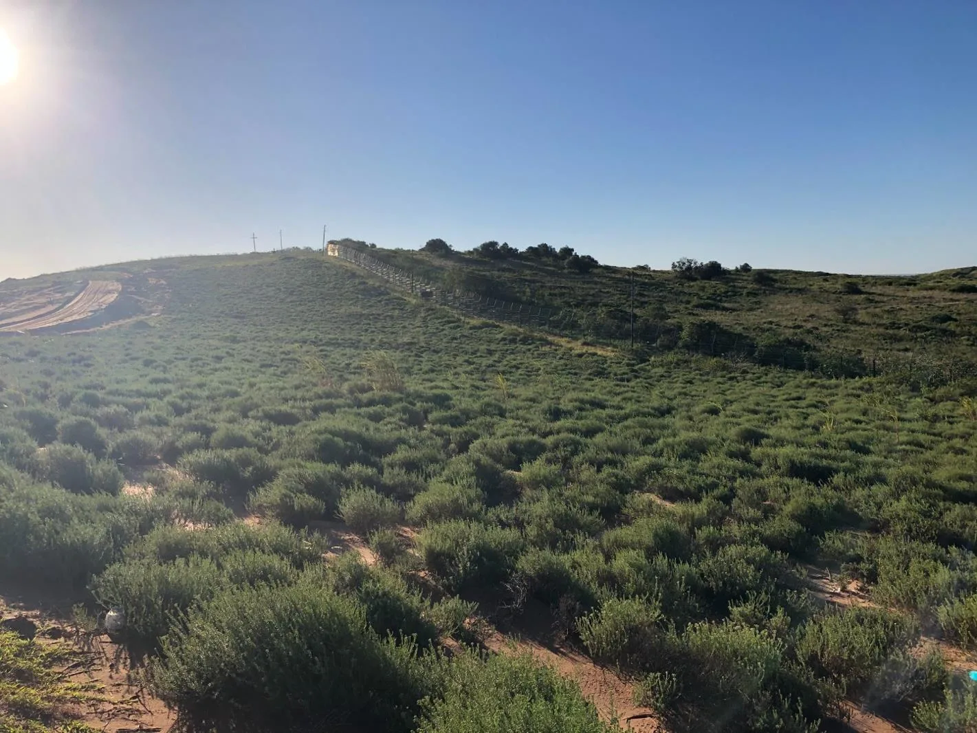 1 672 m² Land available in Sheffield Beach