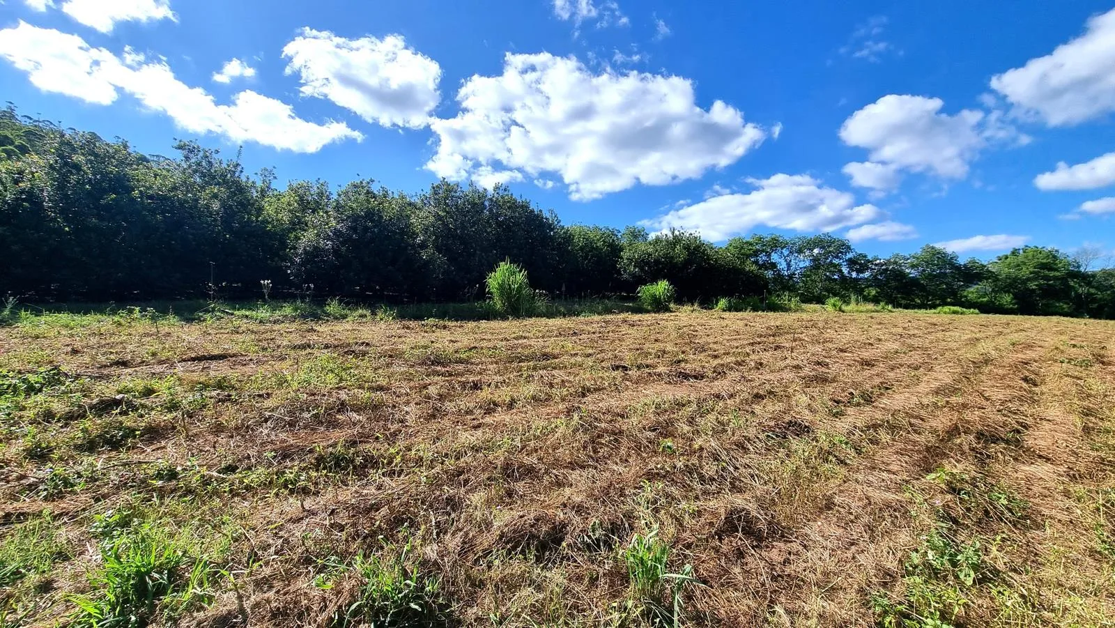 14.6 ha Smallholding in Nelspruit (Mbombela) Outlying