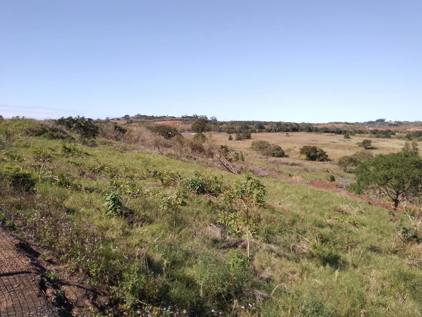 2 ha Land available in Sheffield Beach