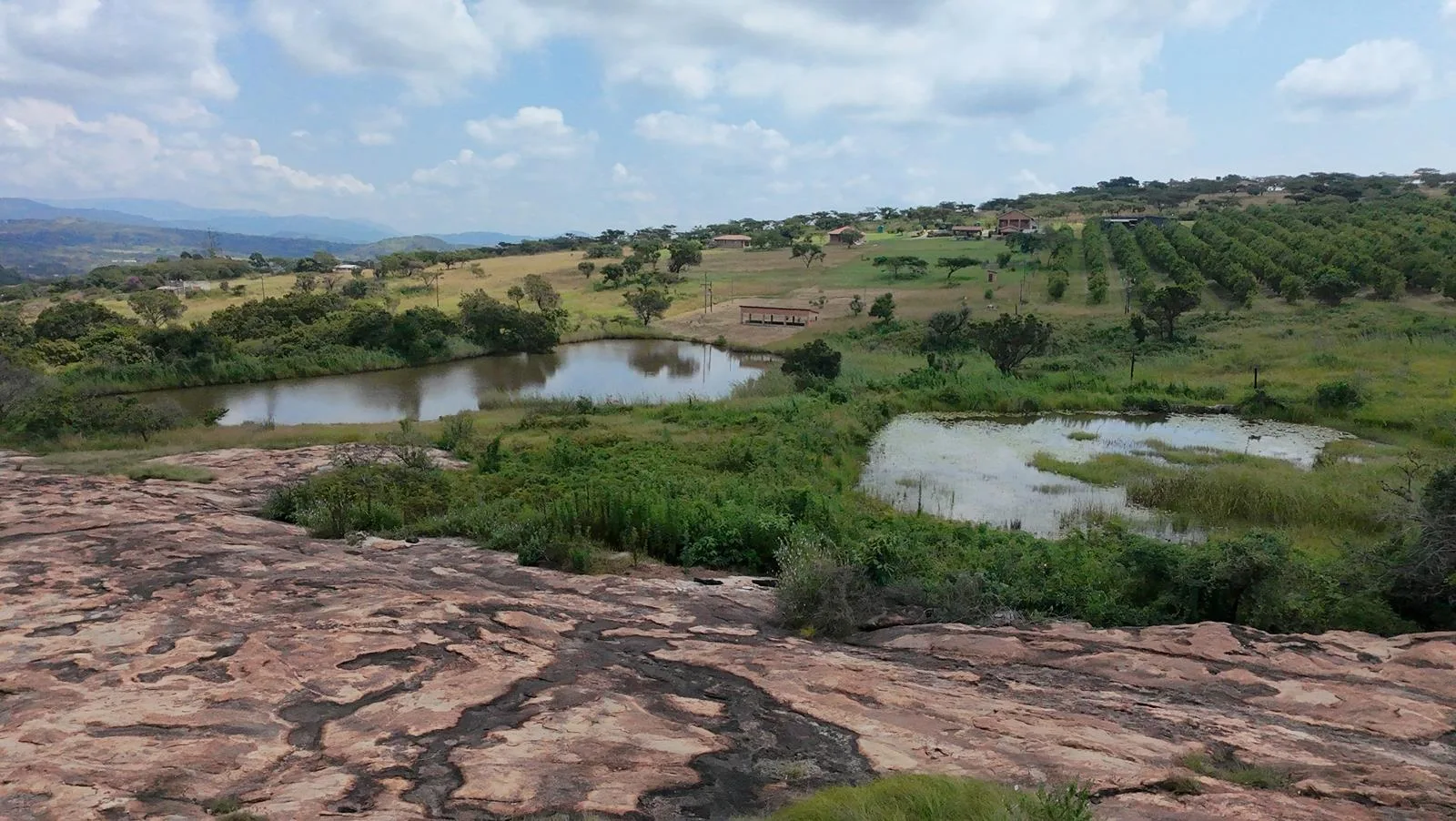 11 ha Farm in Nelspruit (Mbombela) Outlying