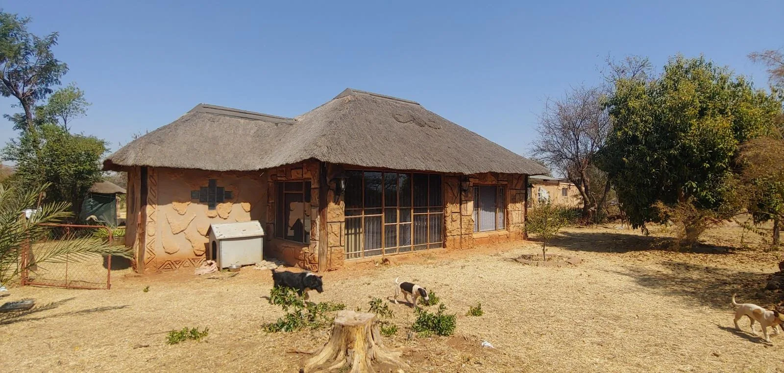 8 600 m² Farm with House in Hartebeeshoek