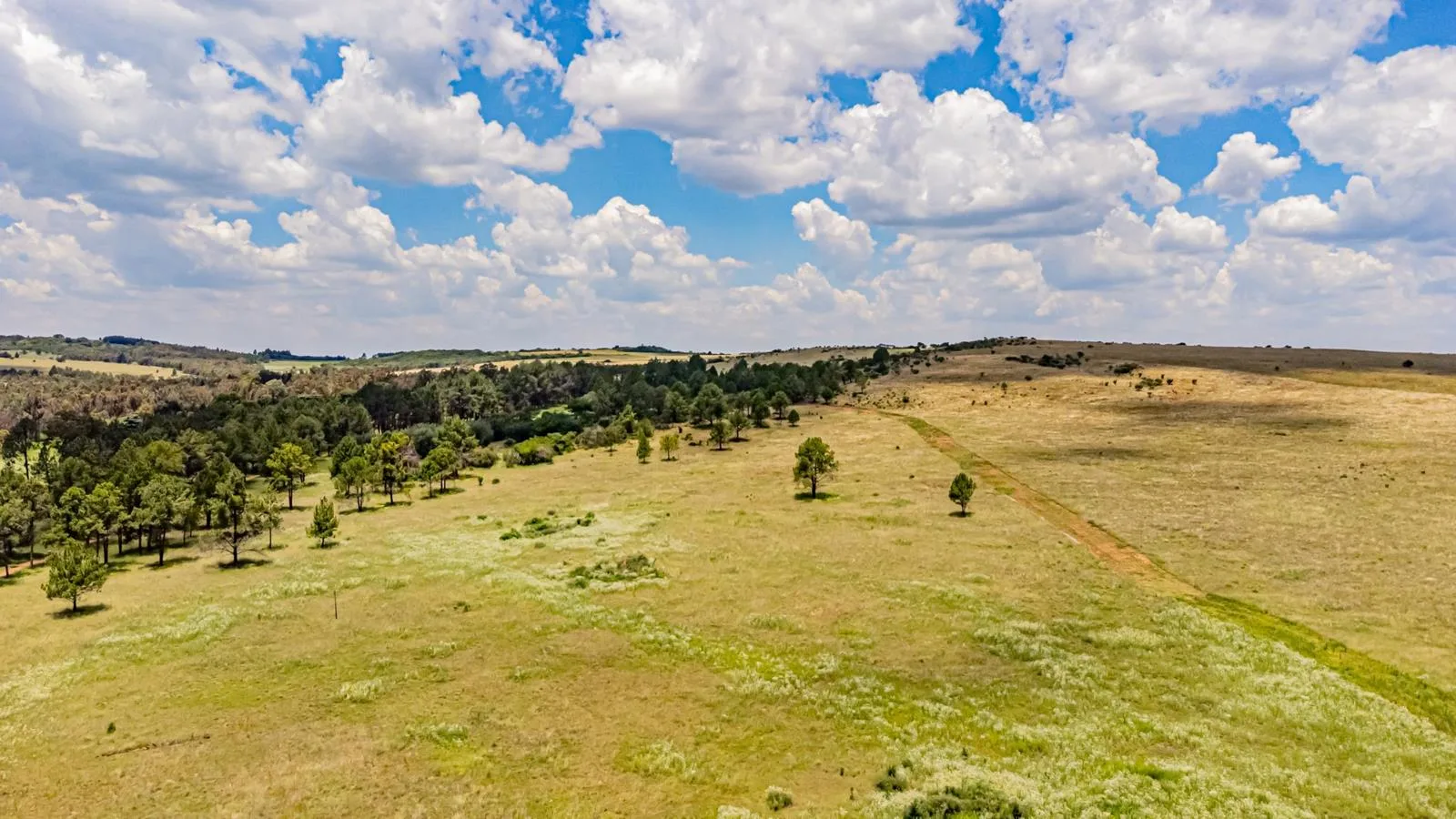 251.3 ha Farm in Walker Fruit Farms AH