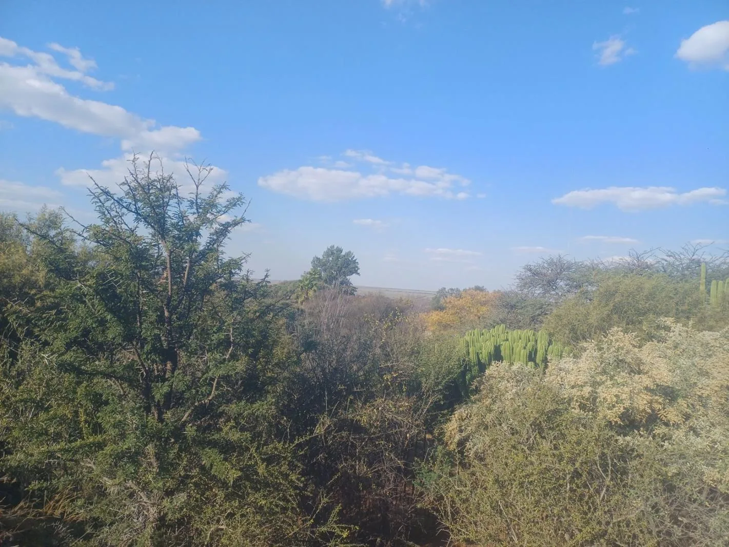 2 077 m² Land available in Schweizer-Reneke