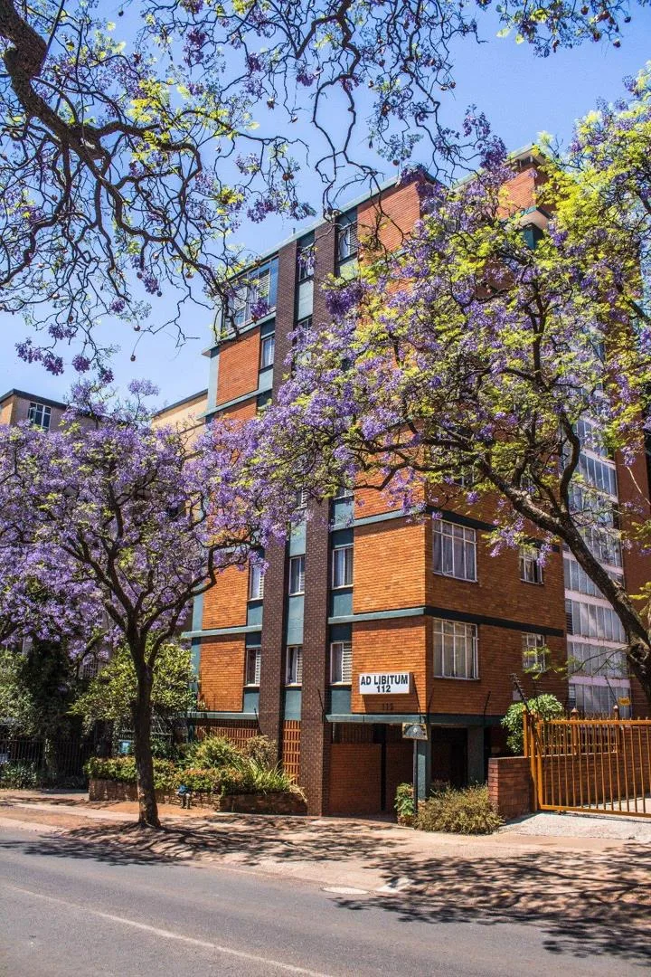 2.5 Bedroom Apartment / flat to rent in Sunnyside