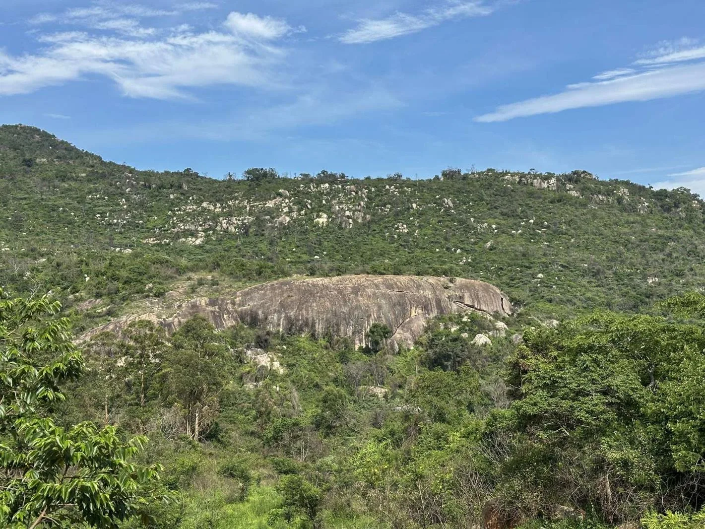 5.2 ha Farm in Nelspruit (Mbombela) Outlying