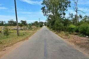 2.1 ha Land available in Greenbushes