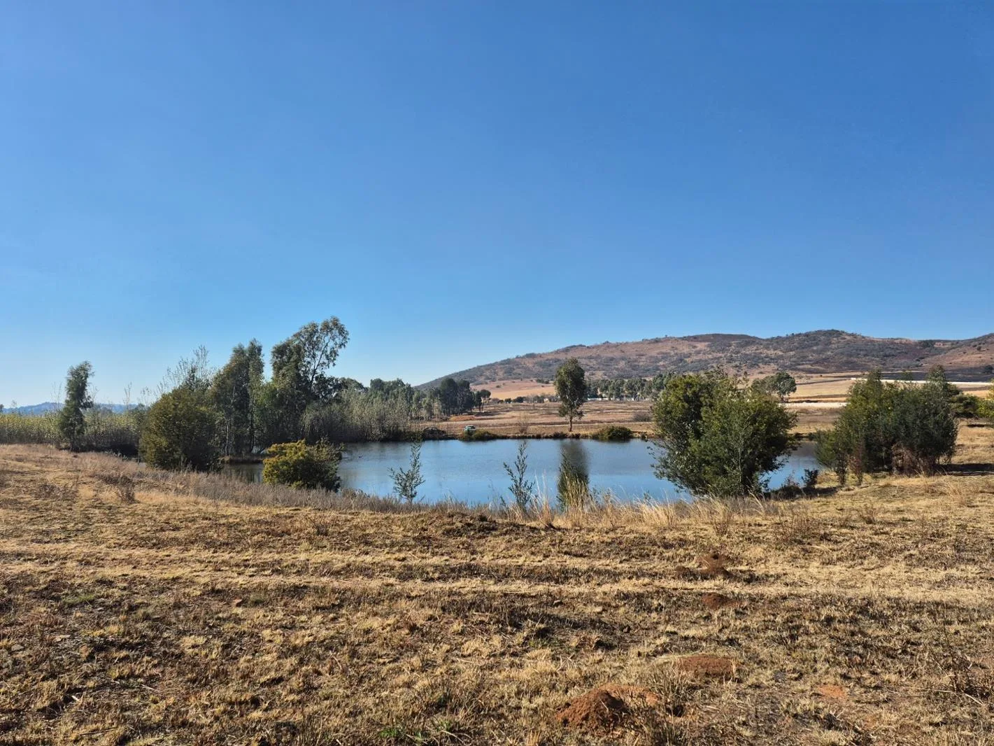 47.9 ha Farm in Meyerton Central
