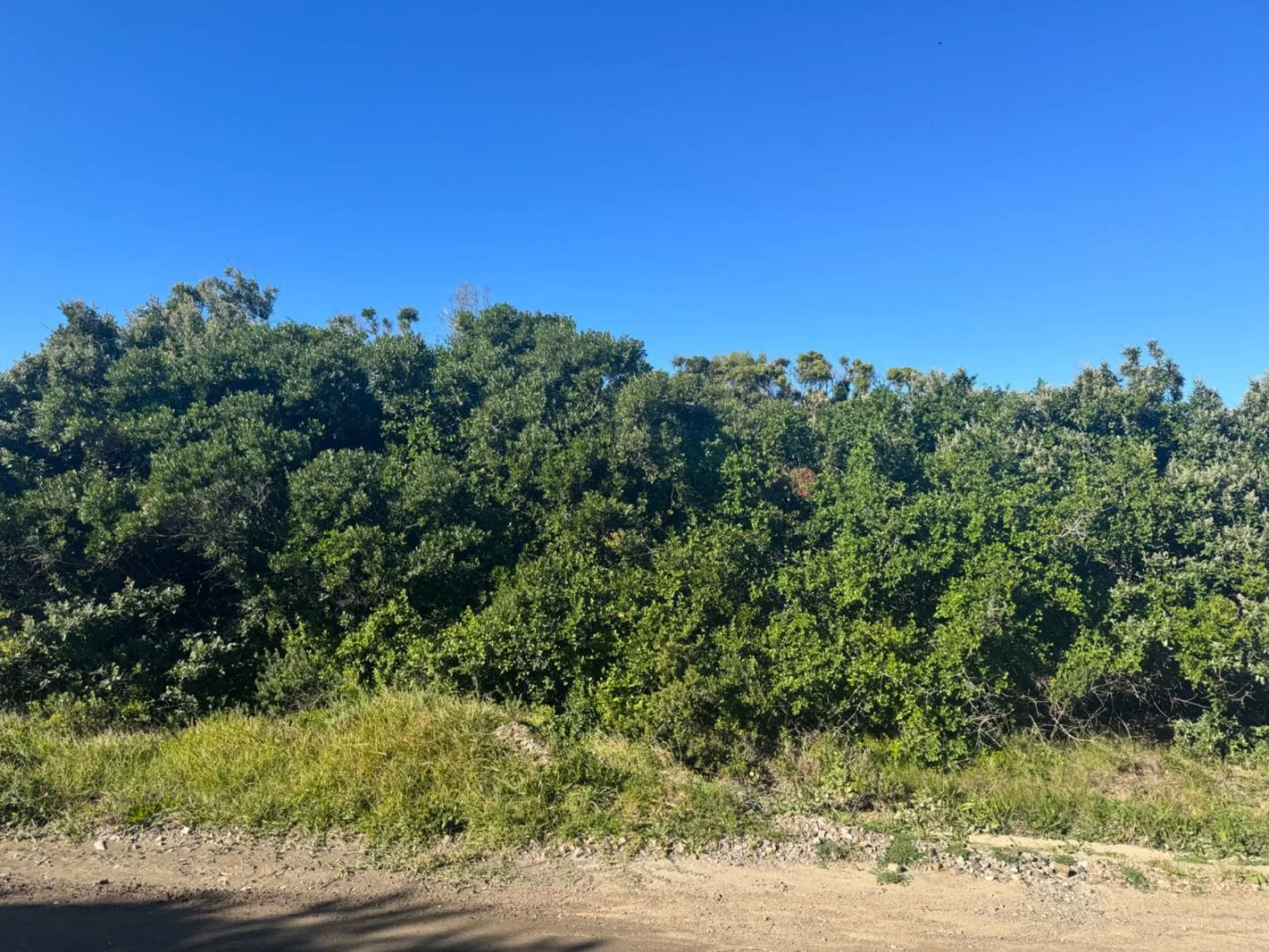 1 039 m² Land available in Cannon Rocks