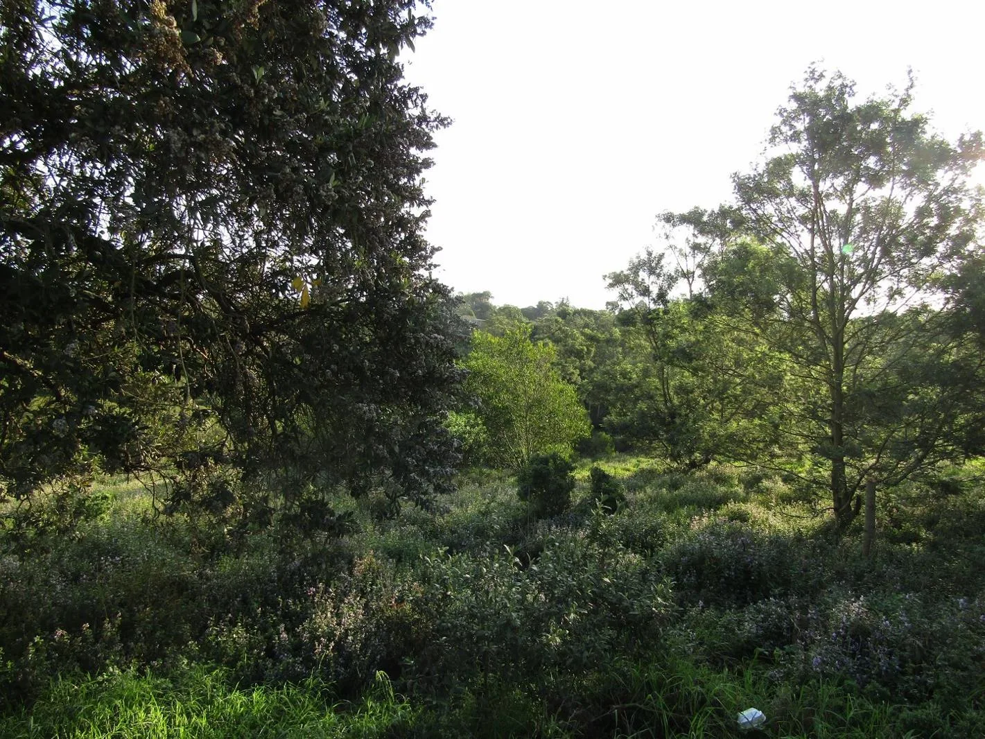 1 711 m² Land available in Kruisfontein