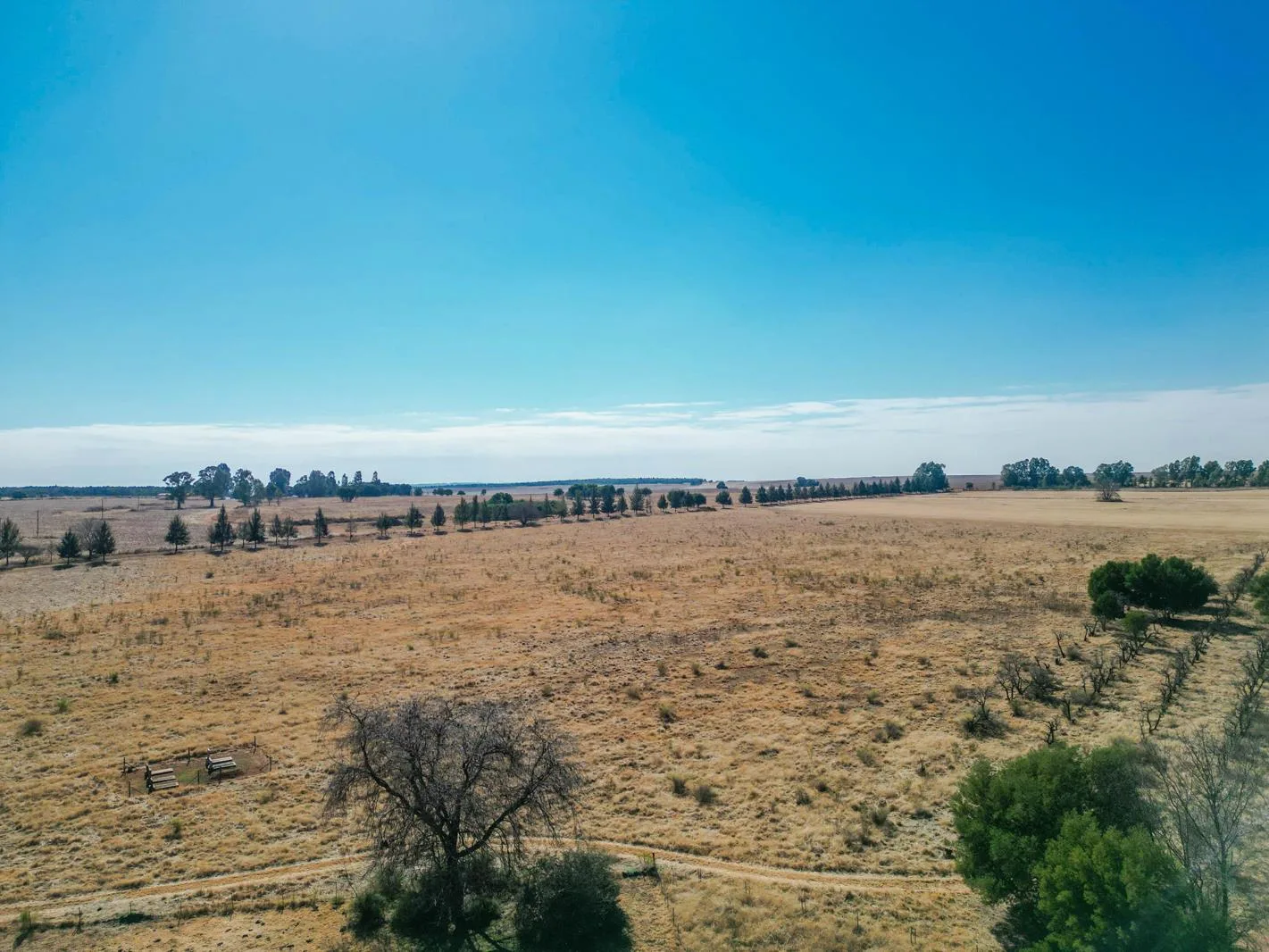 104 ha Farm in Elandsfontein AH