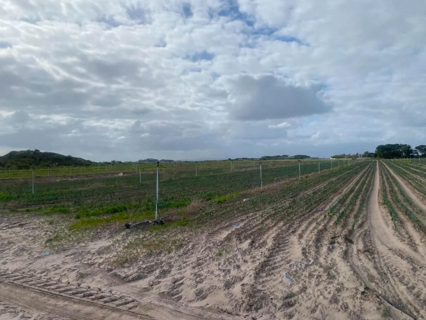 2 000 m² Land available in Schaap Kraal