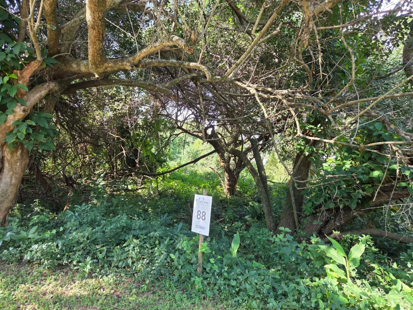 1 218 m² Land available in Elaleni Coastal Forest Estate