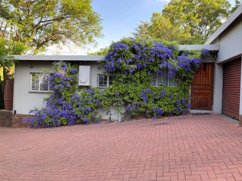 1 Bedroom House to rent in Ferndale