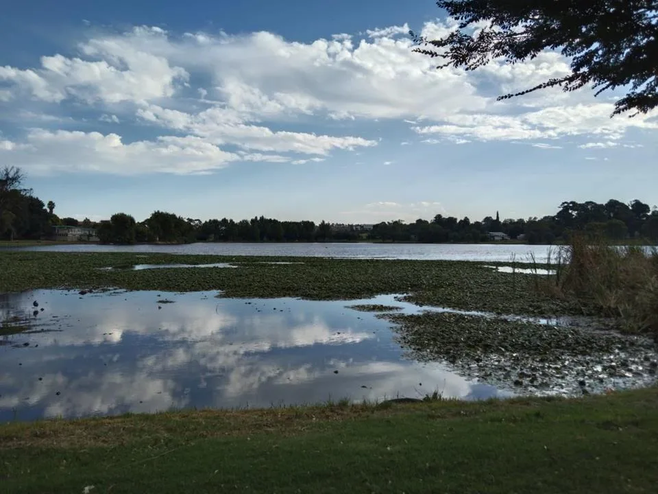 1 Bedroom Apartment / flat to rent in Florida