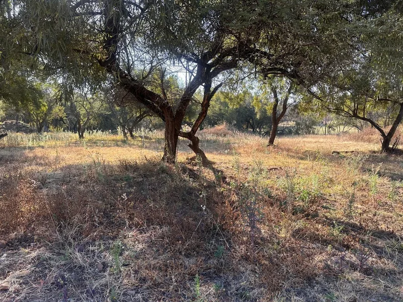 428 m² Land available in Melodie