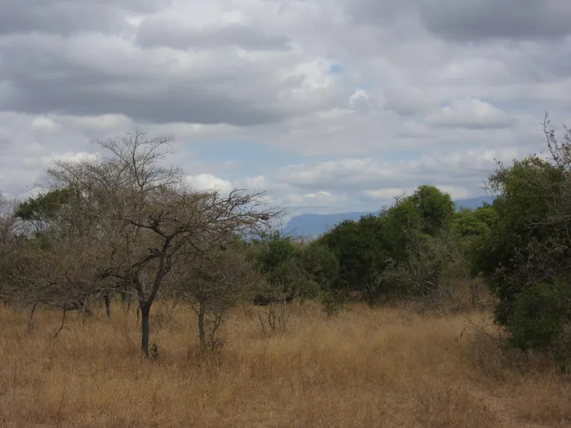 9 368 m² Land available in Moditlo Nature Reserve