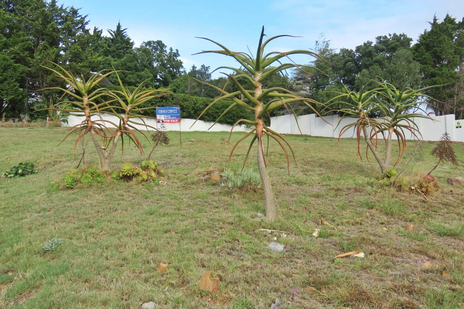 936 m² Land available in Bredasdorp