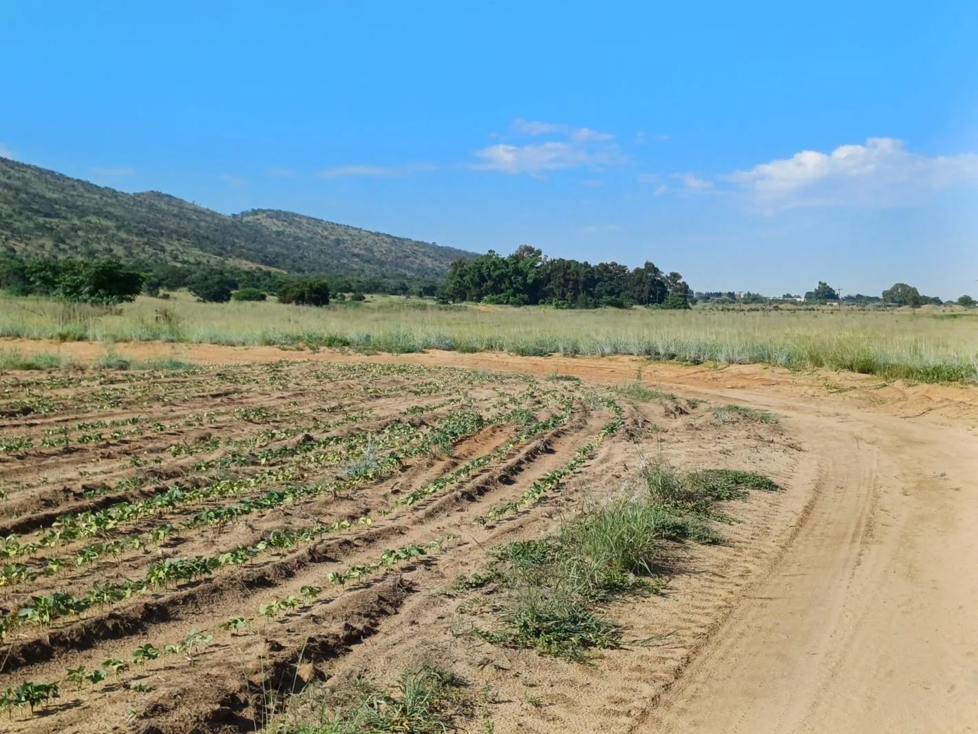 7.8 ha Farm in Hekpoort