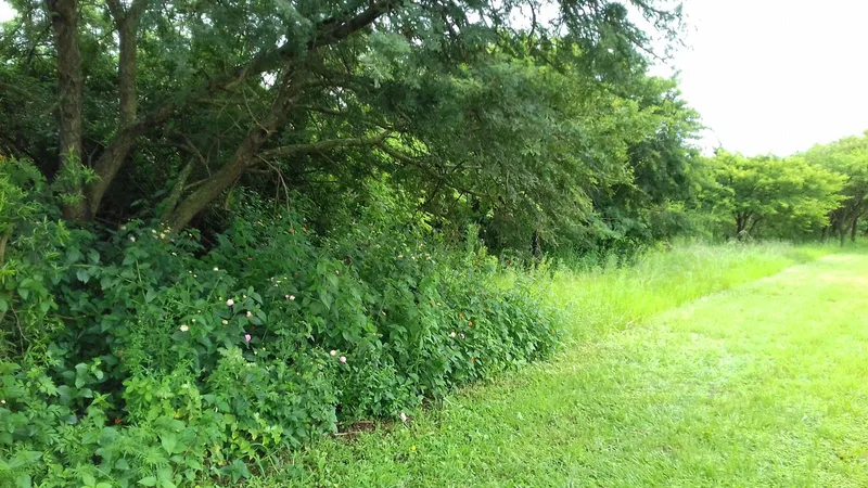 2 ha Land available in Ashburton