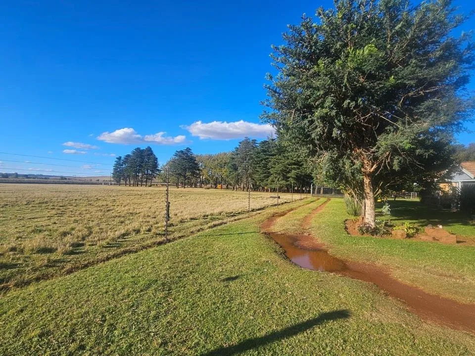 1 Bedroom House to rent in Balmoral