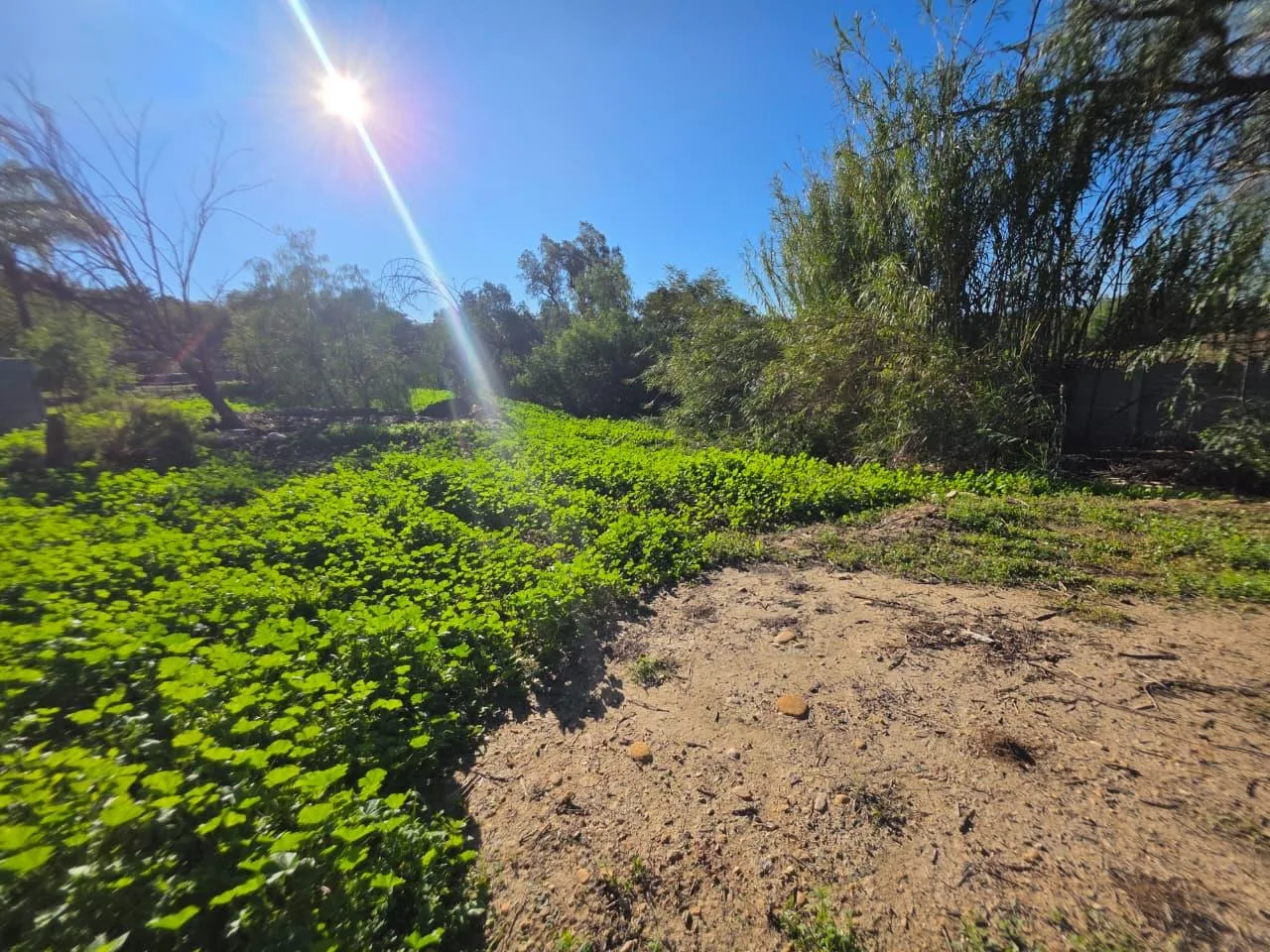 869 m² Land available in Wesbank