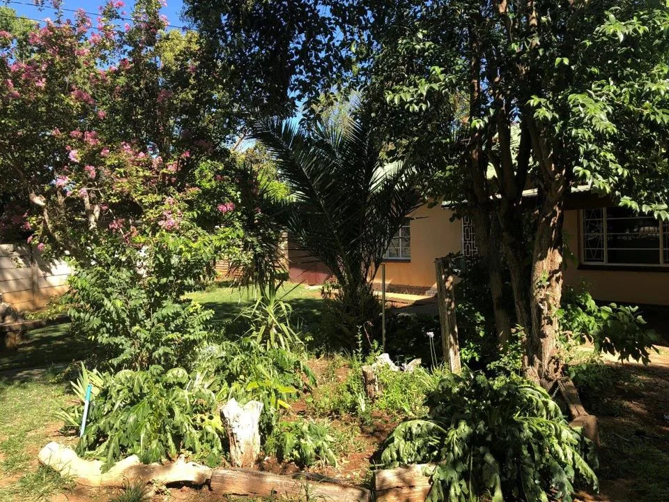 3 Bedroom House to rent in Universitas
