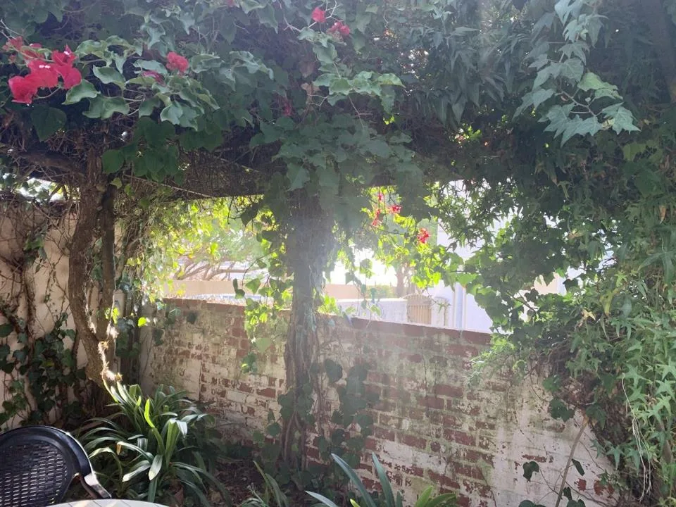 1 Bedroom Apartment / flat to rent in Milnerton Central